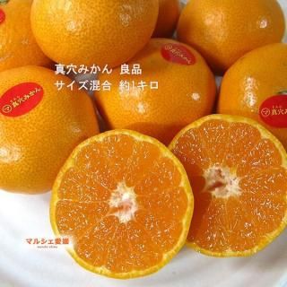 ߤ  쥮顼  ޤ  1 ߤ 1kg S M L s ɲߤ  ϰ ̵