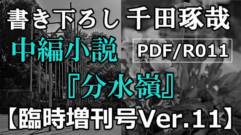 PDF/R011 ׻Ver.11(Ծ)2024ǯ12/24ȯ<img class='new_mark_img2' src='https://img.shop-pro.jp/img/new/icons15.gif' style='border:none;display:inline;margin:0px;padding:0px;width:auto;' />