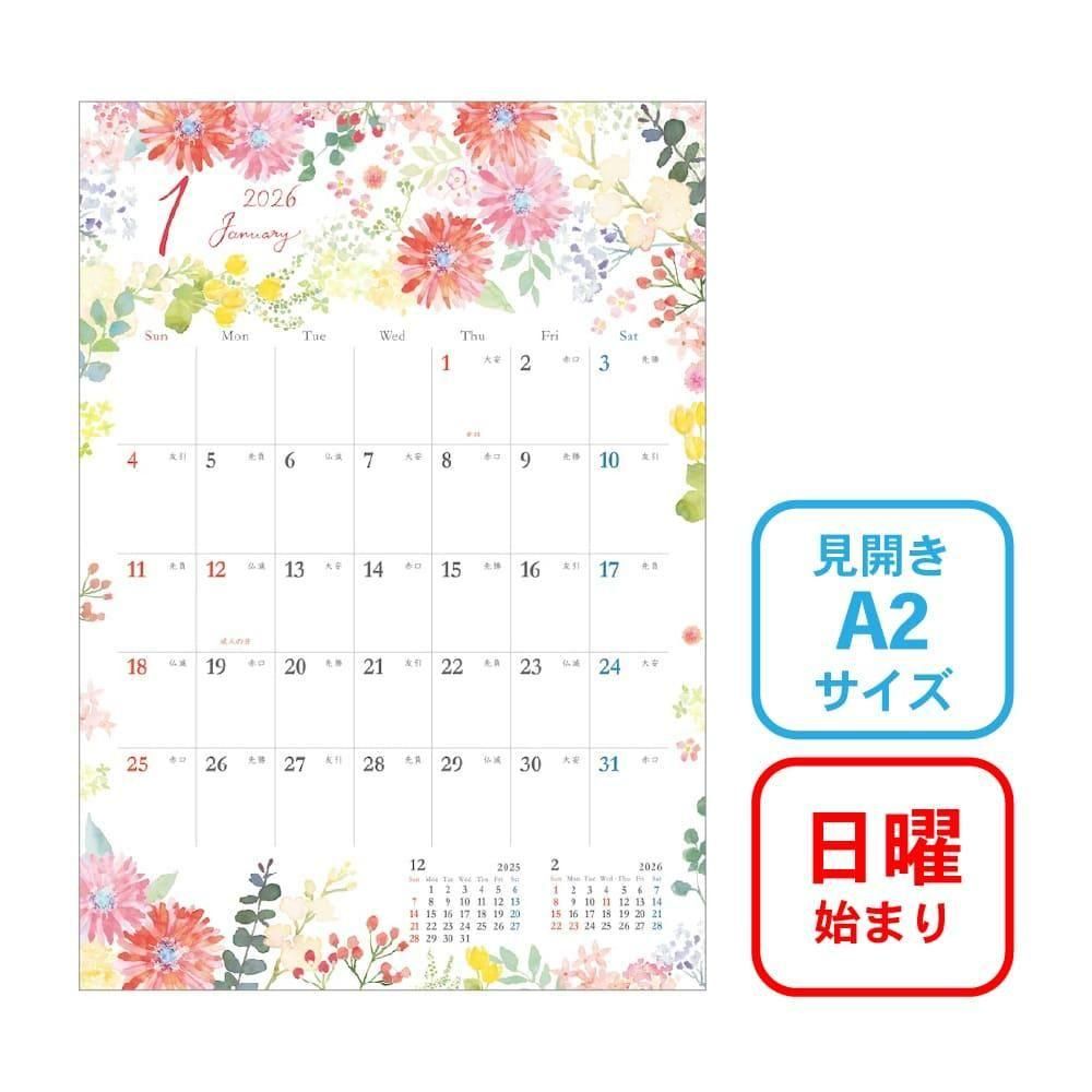  2026ǯ ɳݤ A2 ܥ˥ ˻Ϥޤ  FSCߥå