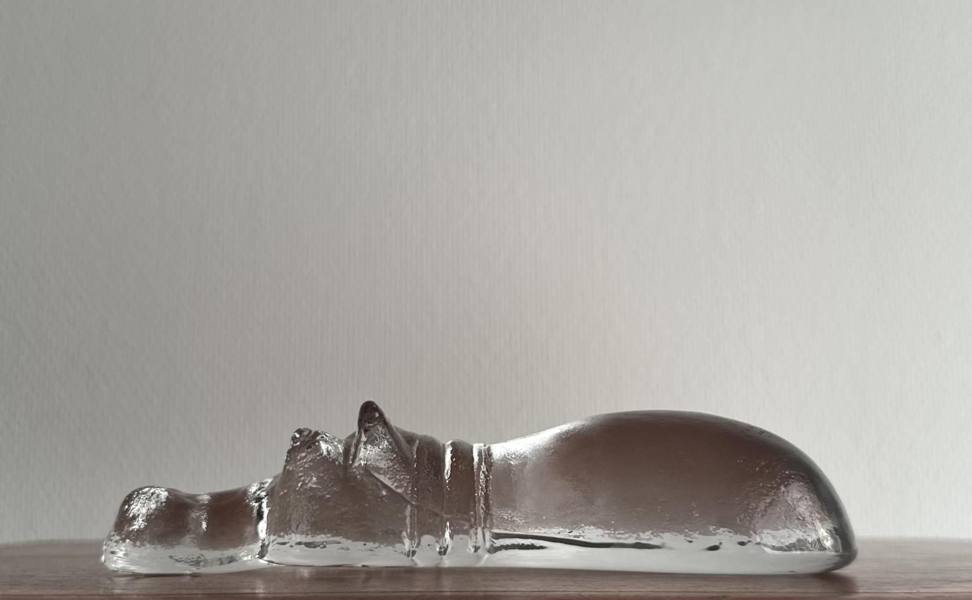  Kosta Boda ܥ /  饹֥Swimming Hippo ˤ