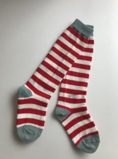 frankygrowBORDER SOCKS kids 