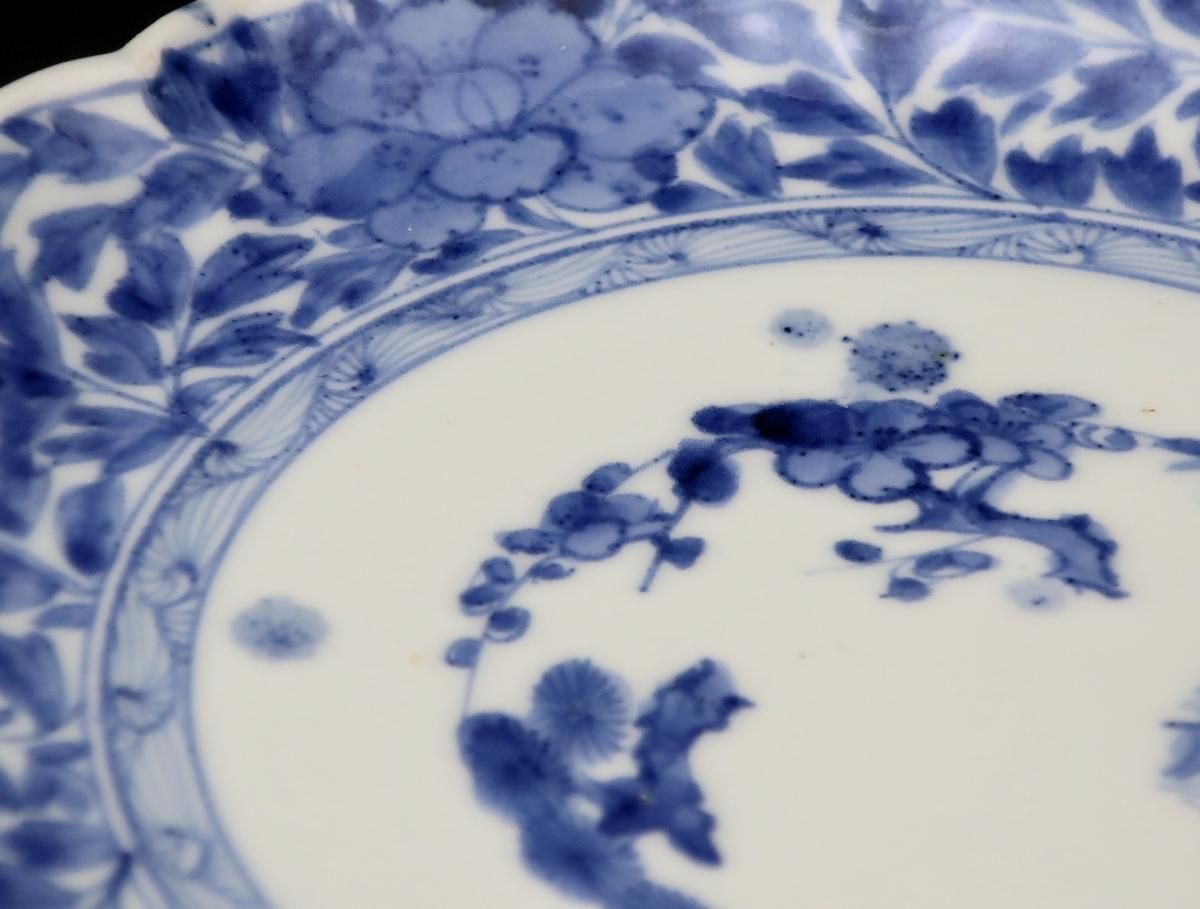 伊万里染付牡丹唐草文七寸皿 五枚組 / Imari Blue & White Plates with