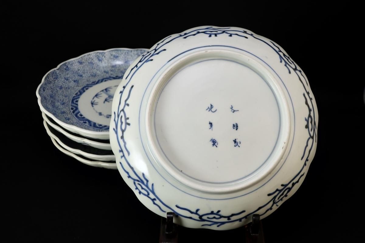 伊万里染付微塵唐草文七寸皿 五枚組 / Imari Blue & White