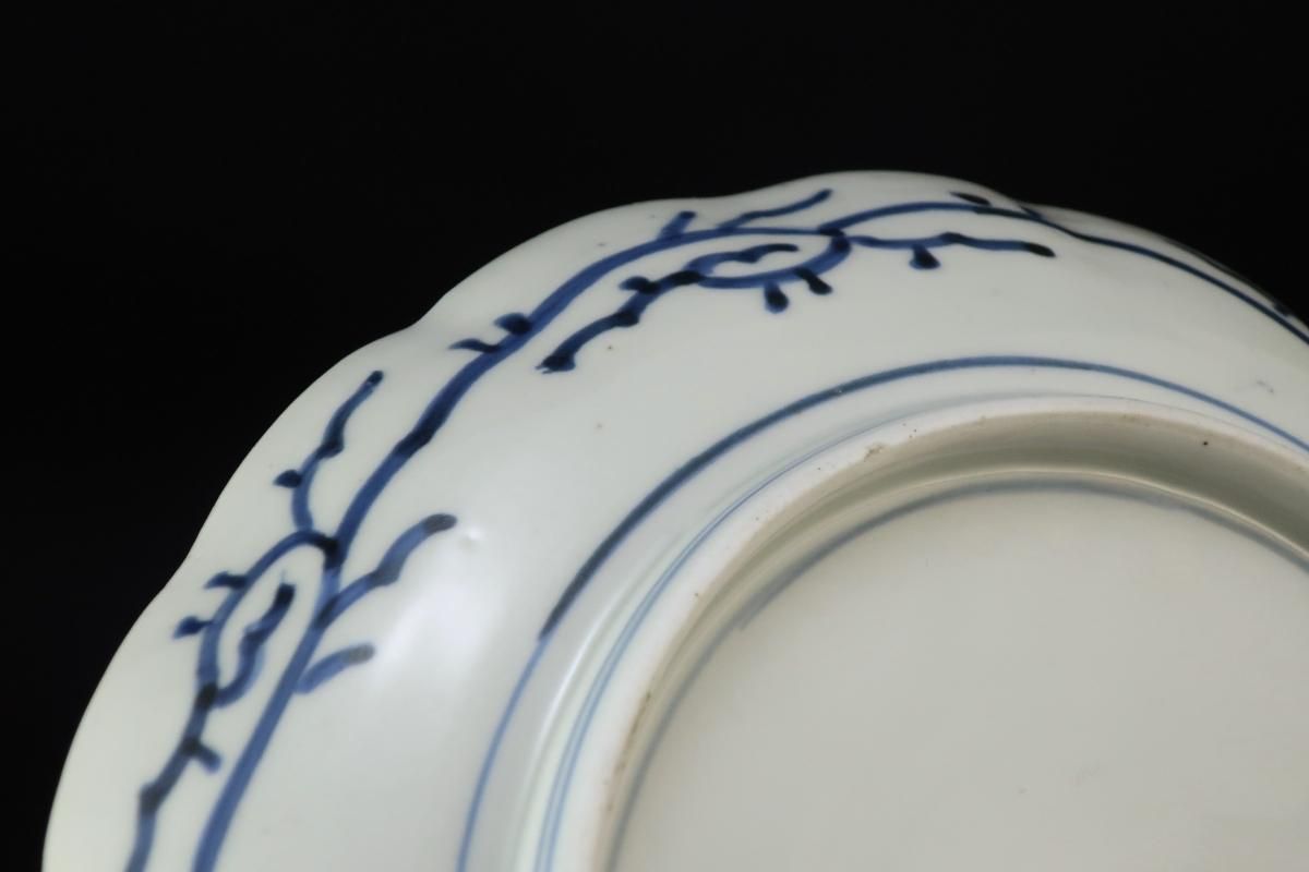 伊万里染付微塵唐草文七寸皿 五枚組 / Imari Blue & White 伊万里染付微塵唐草文七寸皿 五枚組 / Imari Blue & White