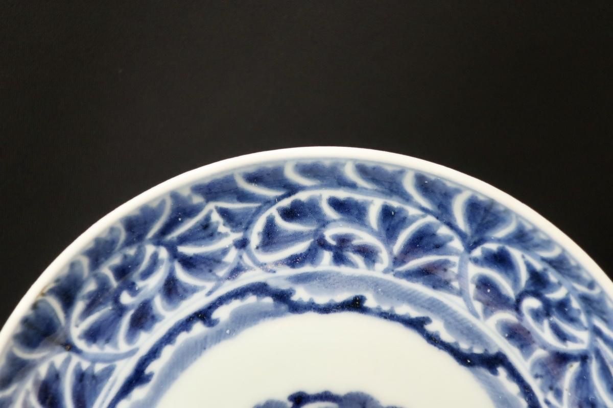 伊万里染付牡丹唐草文六寸皿 五枚組 / Imari Blue & White 伊万里染付牡丹唐草文六寸皿 五枚組 / Imari Blue & White