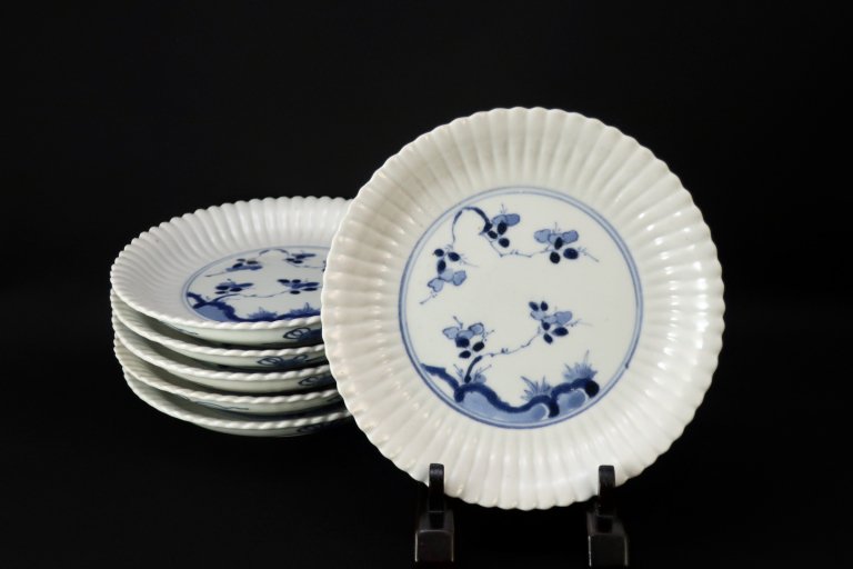 伊万里染付菊花形草花文五寸半皿　六枚組 / Imari Blue & White Chrysanthemum-flower-shaped Plates  set of 6