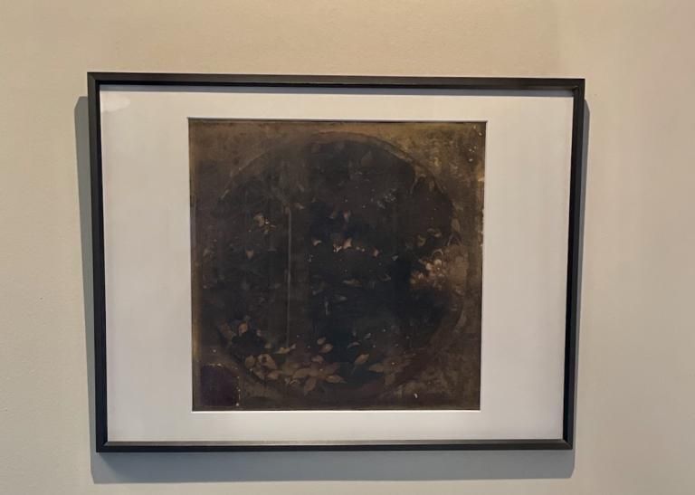 【希少】額付き 助田茂蔵 版画 カラスウリ 日和崎尊夫と木口木版画展 ｜ シロタ画廊
