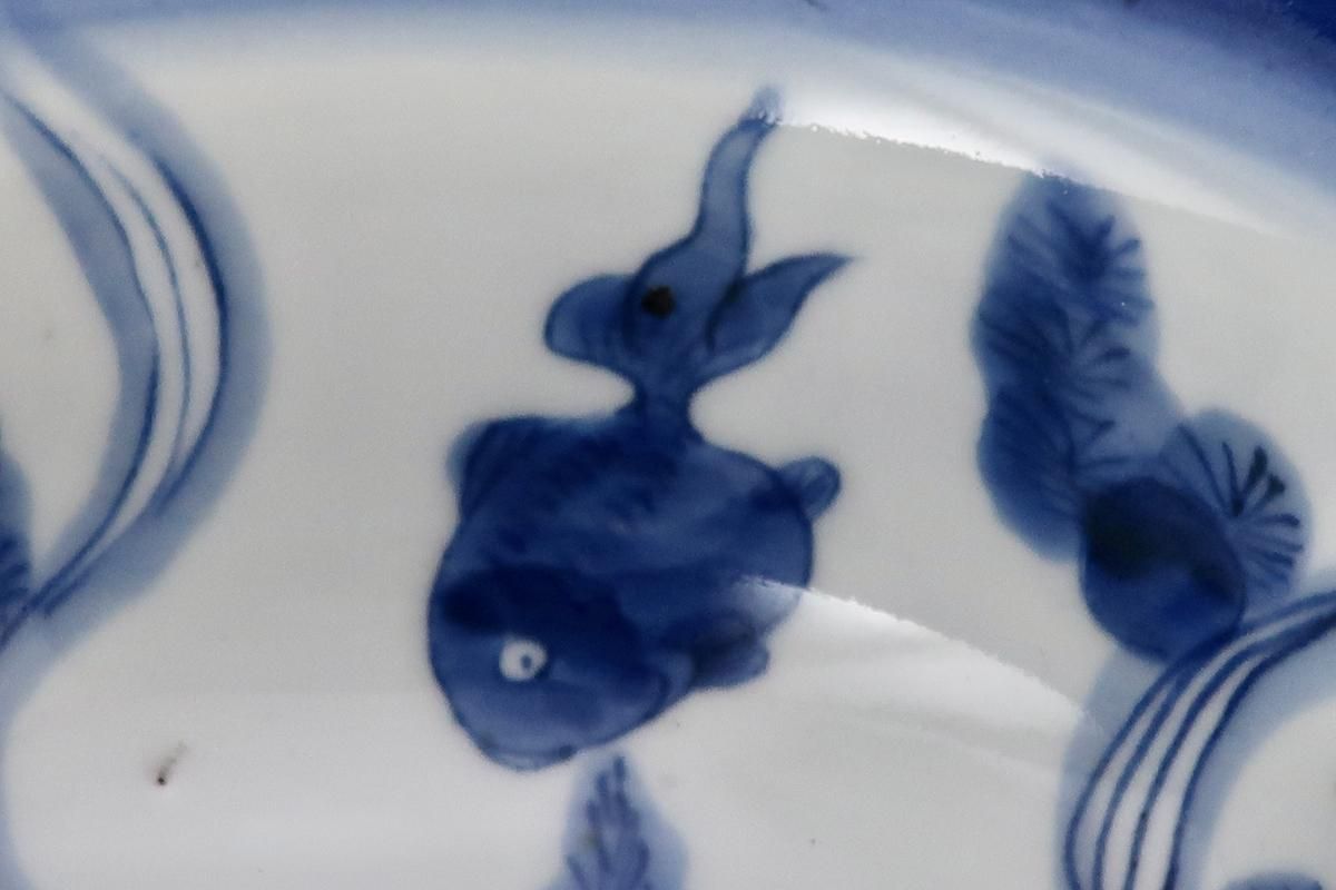 古伊万里 盃洗 金魚 染付 - メルカリ