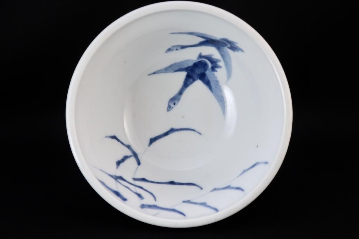 伊万里染付朝顔文盃洗 / Imari Blue & White 'Hsaisen' Sake Cup