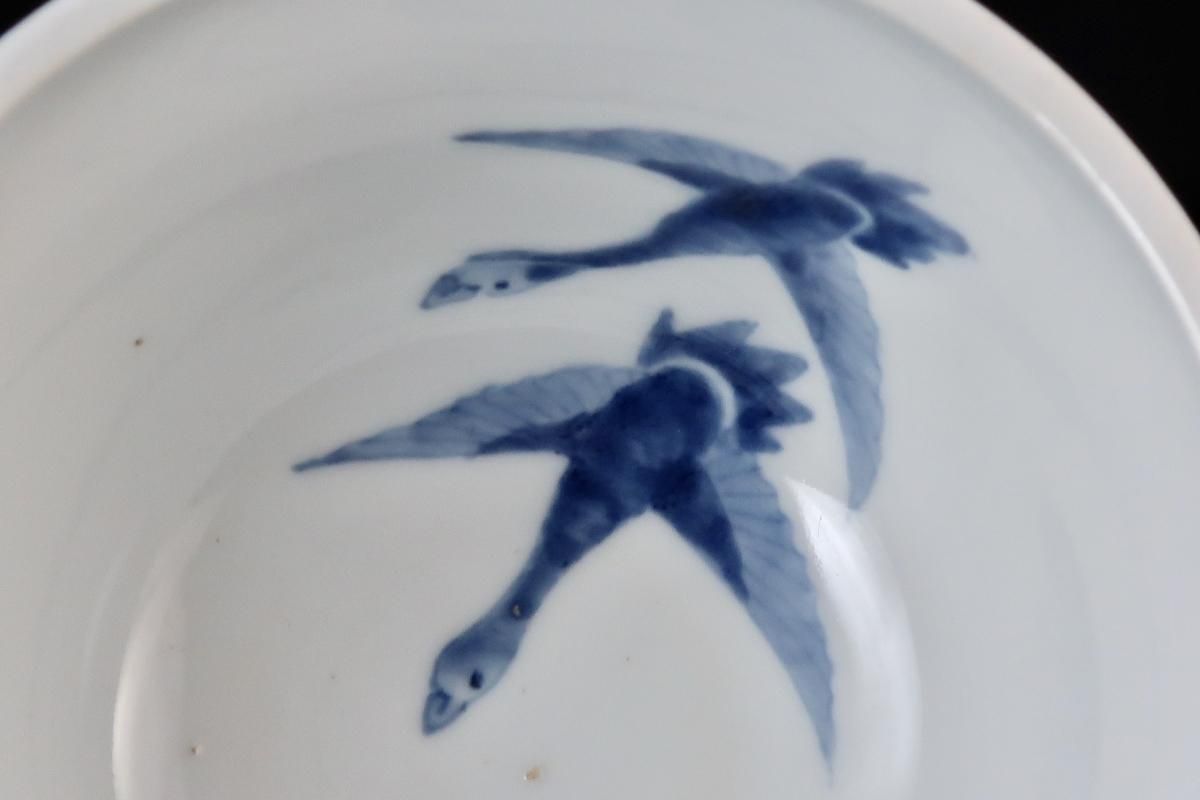 伊万里染付朝顔文盃洗 / Imari Blue & White 'Hsaisen' Sake Cup