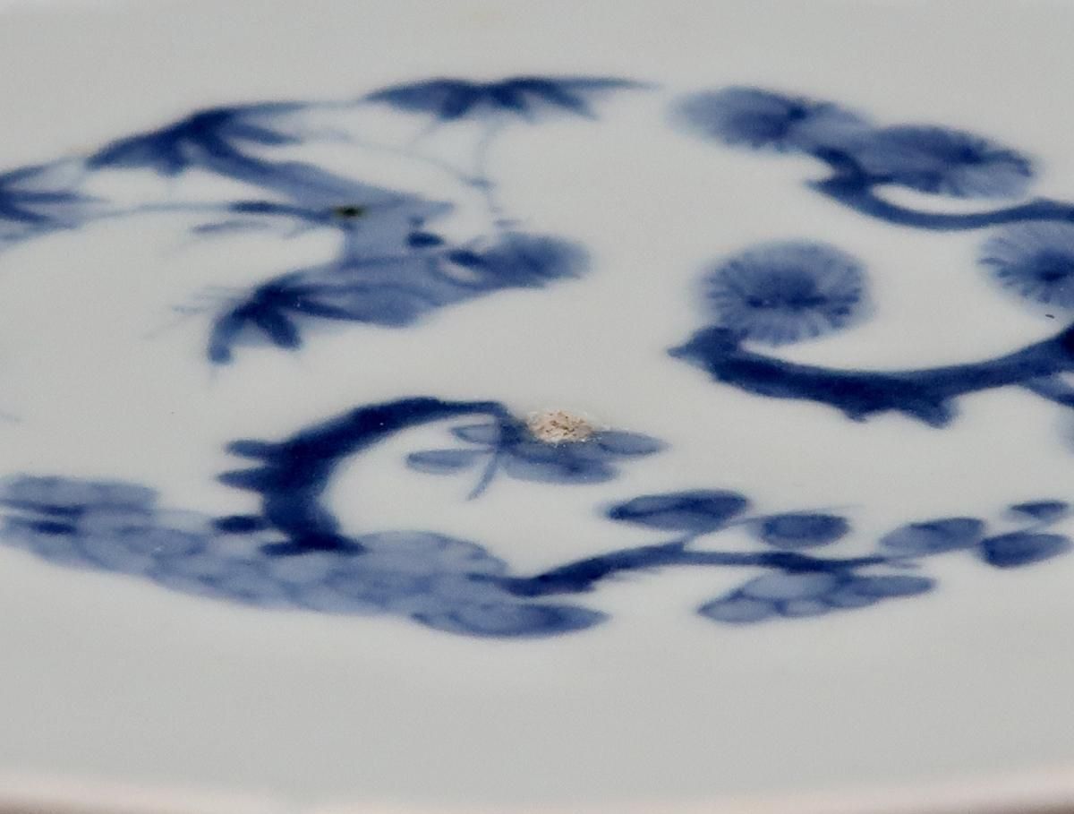 伊万里染付蛸唐草文七寸皿 五枚組 / Imari Blue & White Plates