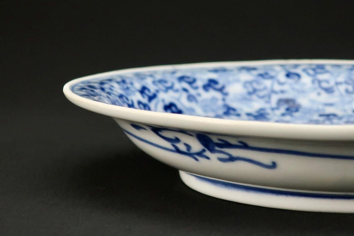 伊万里染付菊花唐草文六寸皿 六枚組 / Imari Blue & White