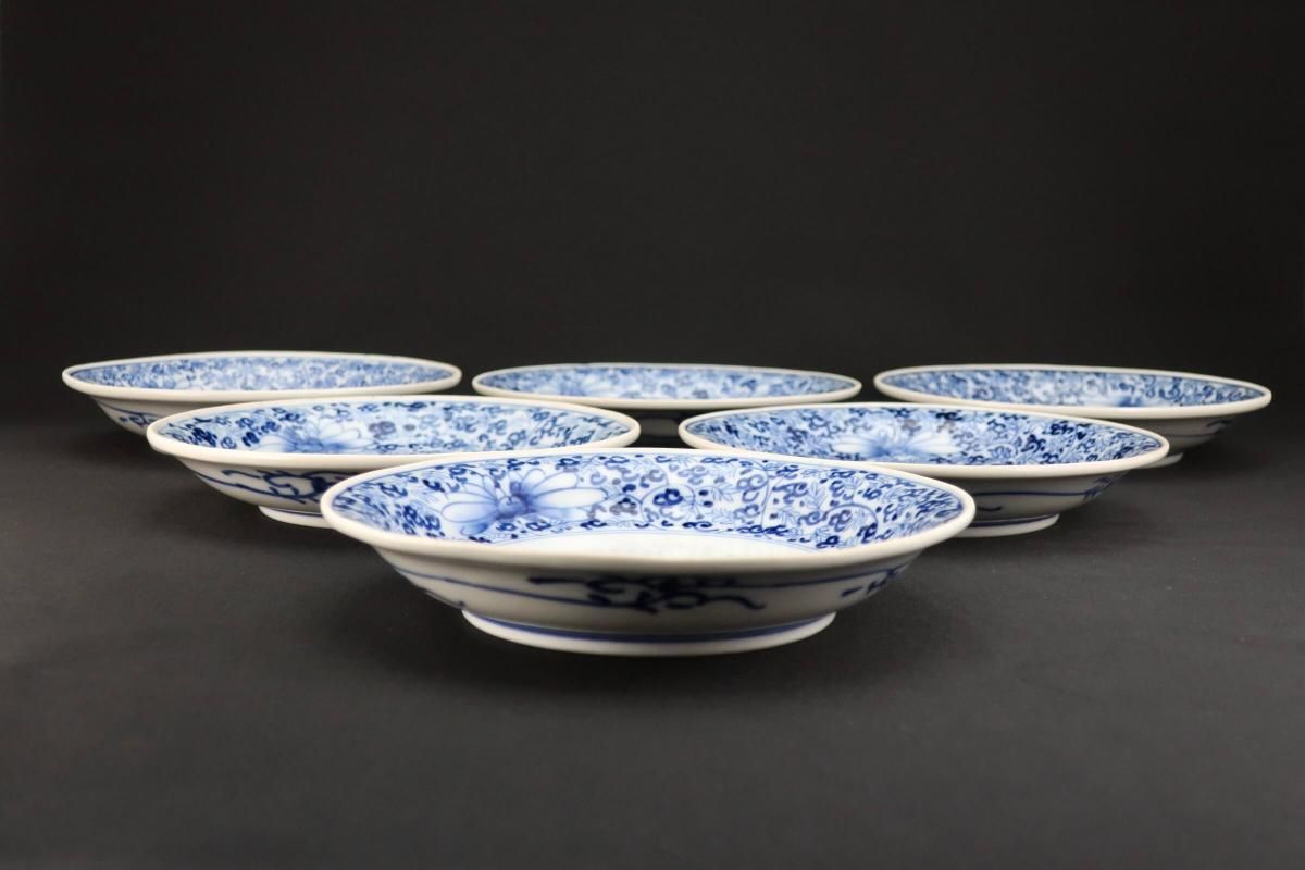 伊万里染付菊花唐草文六寸皿 六枚組 / Imari Blue & White