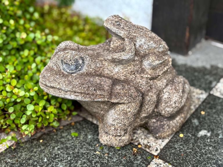 г / Stone Frogs