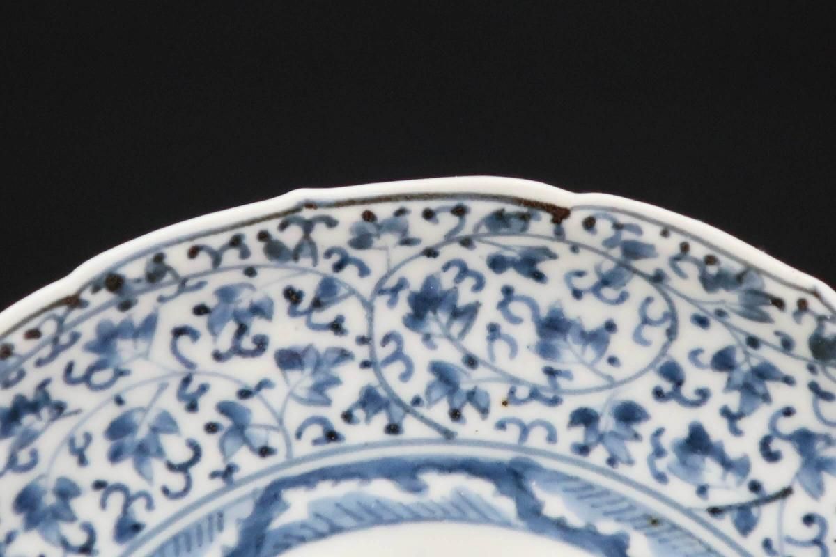 古伊万里萩唐草八寸皿 伊万里染付萩唐草文六寸皿 五枚組 / Imari Blue & White Plates