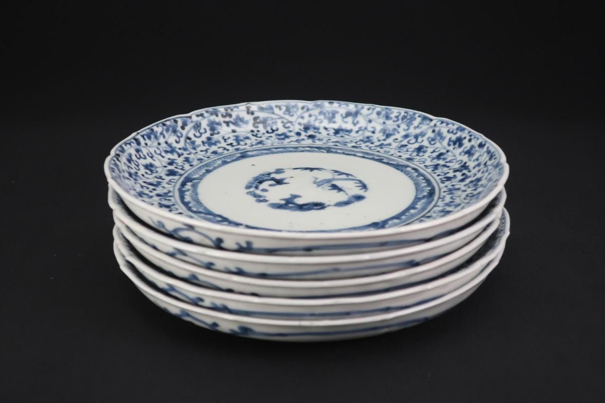 伊万里染付萩唐草文六寸皿 五枚組 / Imari Blue & White Plates with