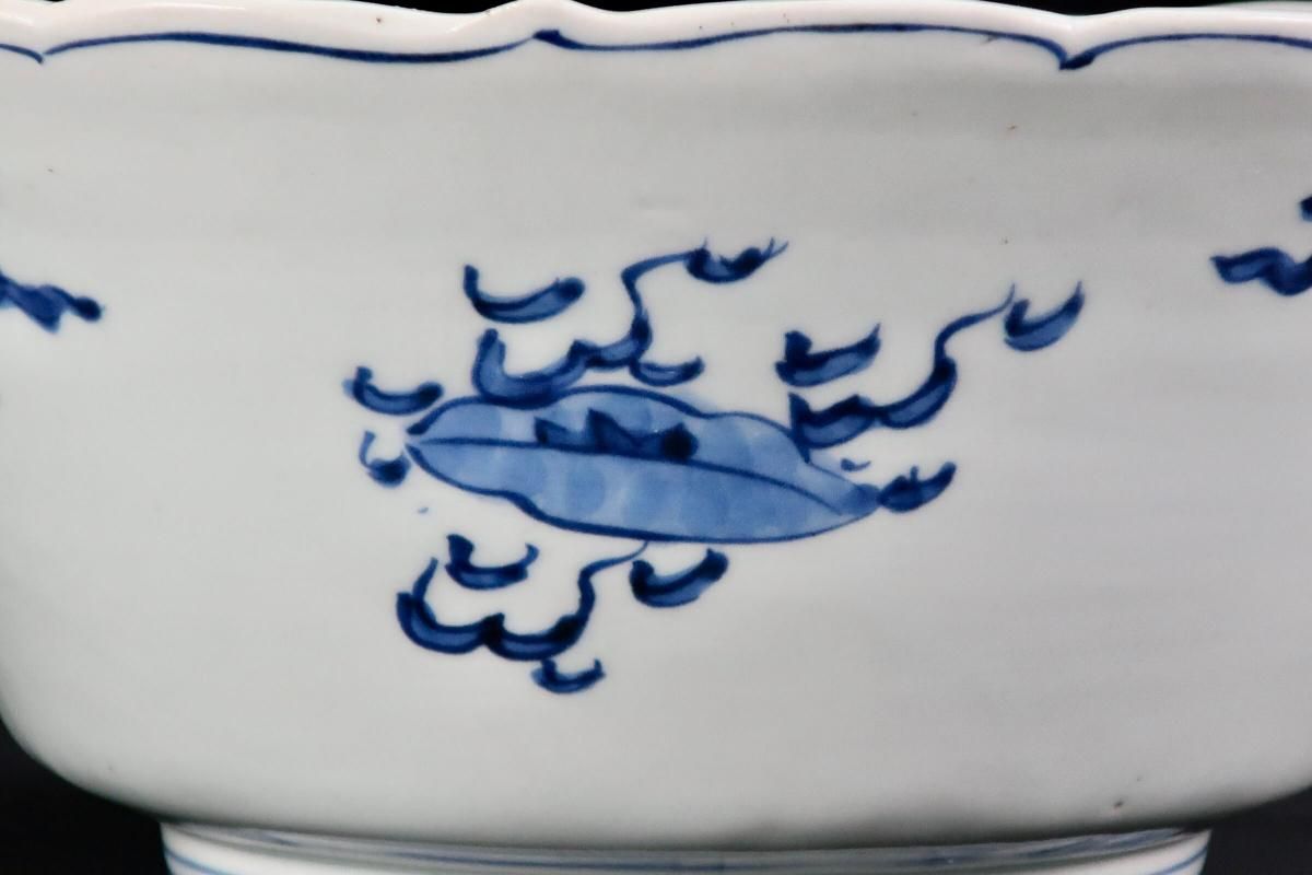 伊万里 鉢 伊万里染付椿文変形大鉢 / Imari Large Blue & White Bowl with