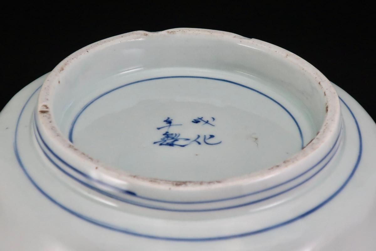 伊万里染付椿文変形大鉢 / Imari Large Blue & White Bowl with