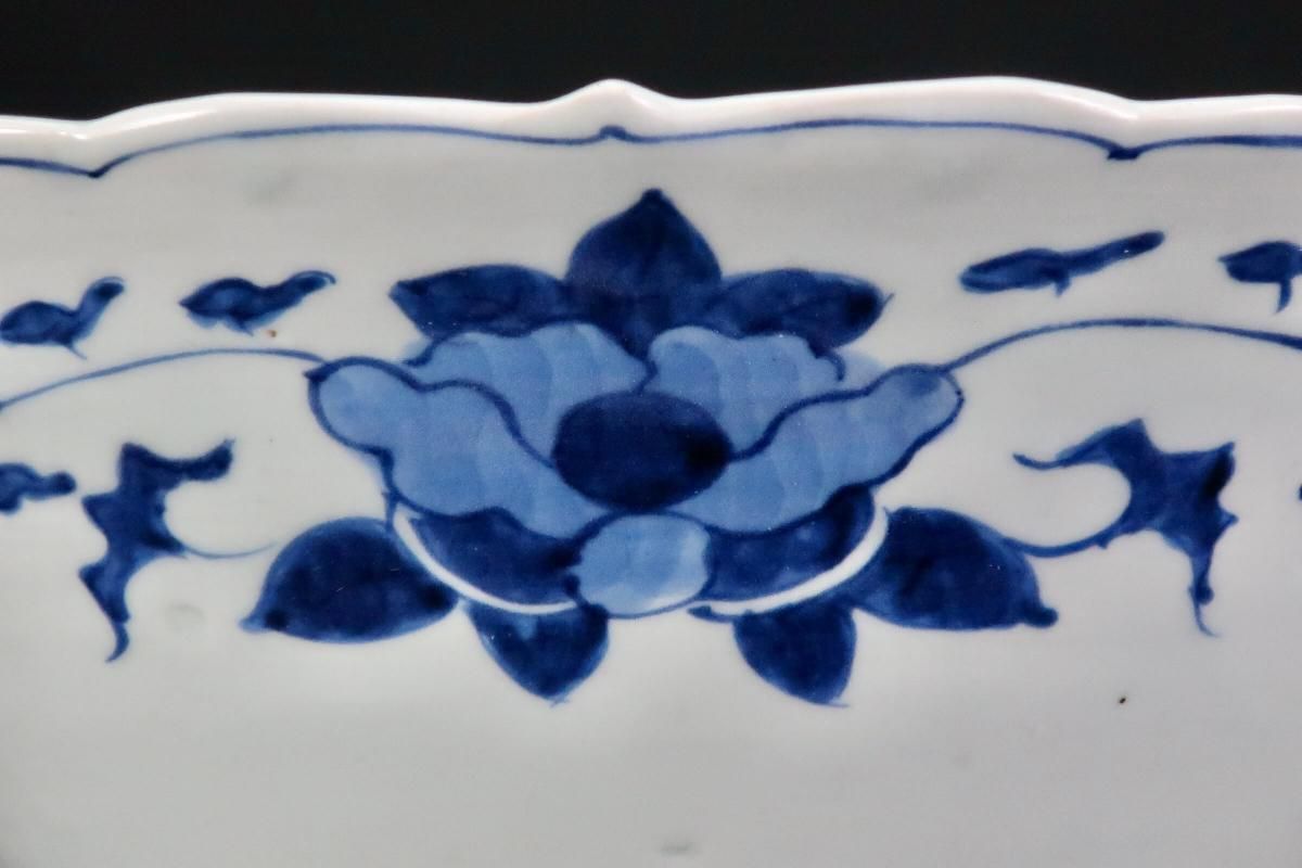 伊万里染付椿文変形大鉢 / Imari Large Blue & White Bowl with