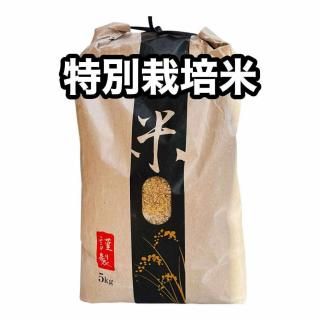 <img class='new_mark_img1' src='https://img.shop-pro.jp/img/new/icons1.gif' style='border:none;display:inline;margin:0px;padding:0px;width:auto;' />ʸơʿ5kg ˸ơڿ̸