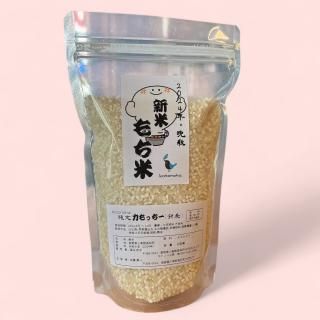 <img class='new_mark_img1' src='https://img.shop-pro.jp/img/new/icons5.gif' style='border:none;display:inline;margin:0px;padding:0px;width:auto;' />縄文　力もっちー500g(もち米)無農薬無化学肥料