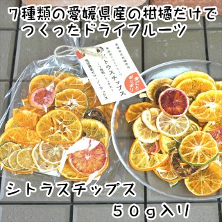 無添加 ドライフルーツ 「 シトラスチップス 」 50g 愛媛産柑橘使用（ブルーシュエット）