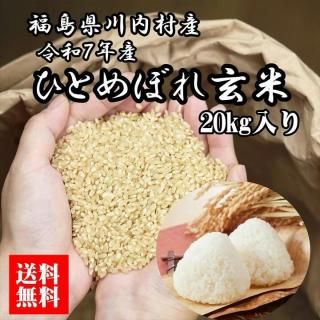  ʡ縩¼ £ǯ ҤȤܤ  20kg Τ<img class='new_mark_img2' src='https://img.shop-pro.jp/img/new/icons62.gif' style='border:none;display:inline;margin:0px;padding:0px;width:auto;' />