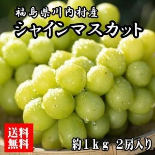 ͽ˺ʤ桪 ʡ縩 㥤ޥå 1kg̵<img class='new_mark_img2' src='https://img.shop-pro.jp/img/new/icons15.gif' style='border:none;display:inline;margin:0px;padding:0px;width:auto;' />