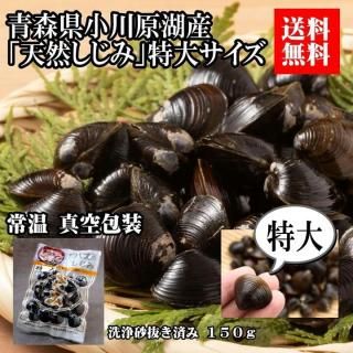 10OFF  Ŀ л 礷ߡʾﲹס<img class='new_mark_img2' src='https://img.shop-pro.jp/img/new/icons15.gif' style='border:none;display:inline;margin:0px;padding:0px;width:auto;' />