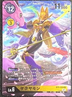 ꥢ륳쥯󡡥BT5-044
R
ǥ
Lv.6