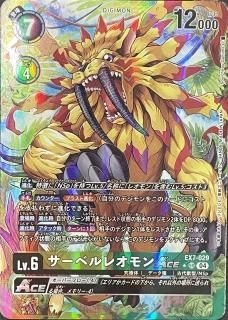 ѥǡEX7-029
SR
ǥ
Lv.6
٥쥪ACE