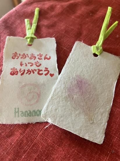 母の日ギフト シャクヤク 切花 8本入 北信濃の花農家 母の日ギフト シャクヤク 切花 8本入 北信濃の花農家
