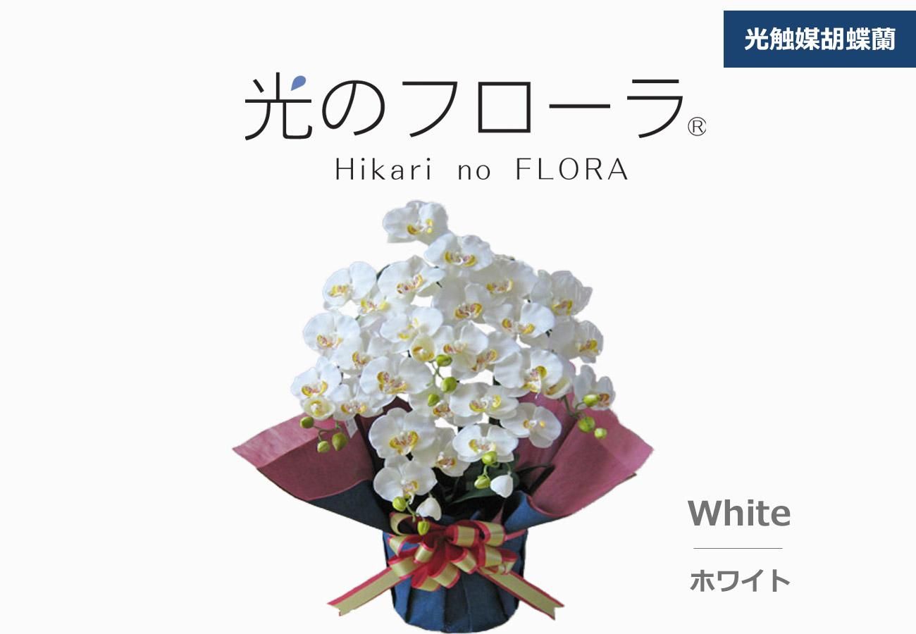 光触媒フラワーショップ「リョクエイ」胡蝶蘭造花通販の専門店 ギフト
