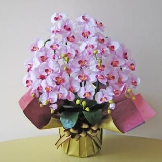 胡蝶蘭造花 胡蝶蘭寄せ植え 胡蝶蘭アレンジ 光触媒胡蝶蘭 お祝い 胡蝶蘭造花 胡蝶蘭寄せ植え 胡蝶蘭アレンジ 光触媒胡蝶蘭 お祝い