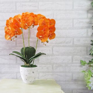 光触媒アートフラワーアレンジメント【ミディ胡蝶蘭3本立て・オレンジ】少しコンパクトなサイズの胡蝶蘭です。