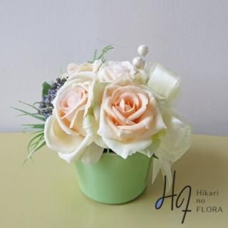 ޥȥե󥸥ȡڥꥢͥԥ󥯤ΥХ餬Ǥ¤餮ޤ