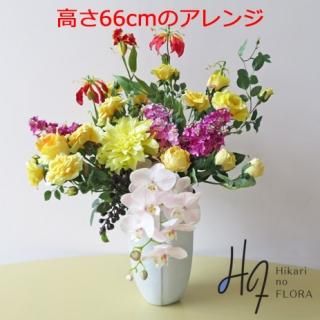 ޹¤֥󥸥ȡڥեꥢ۲ڤ䤫Ⱦʤʥȥԥ󥯤̥Ϥι¤֥󥸥ȤǤ