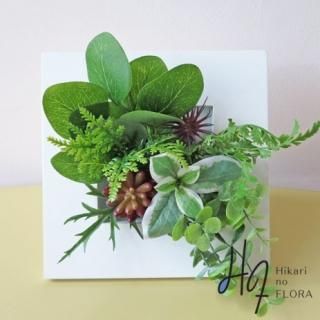 ޲ùɳݤfm135 ɤˤ礳äȥ꡼Τ⤪Ǥ