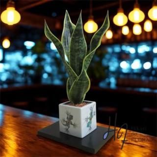 <img class='new_mark_img1' src='https://img.shop-pro.jp/img/new/icons3.gif' style='border:none;display:inline;margin:0px;padding:0px;width:auto;' />¤֥󥸥ȡڶëơݻλ١ۿۡžˤˡȤʡƤ֥եȤǤëơ߿͹տʪ