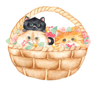 ͵֡Kittensͤ Cat