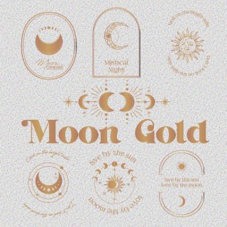 New Moon 礱ѡ -gold-б饭饴A3