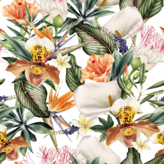 ڥTropical orange ȥԥ륪ʥۥ磻ȡ󥸥ե A3