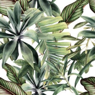 ڥTropical Green ȥԥ륰꡼ʥ꡼ա A3