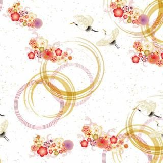 ڿ ͥ A3