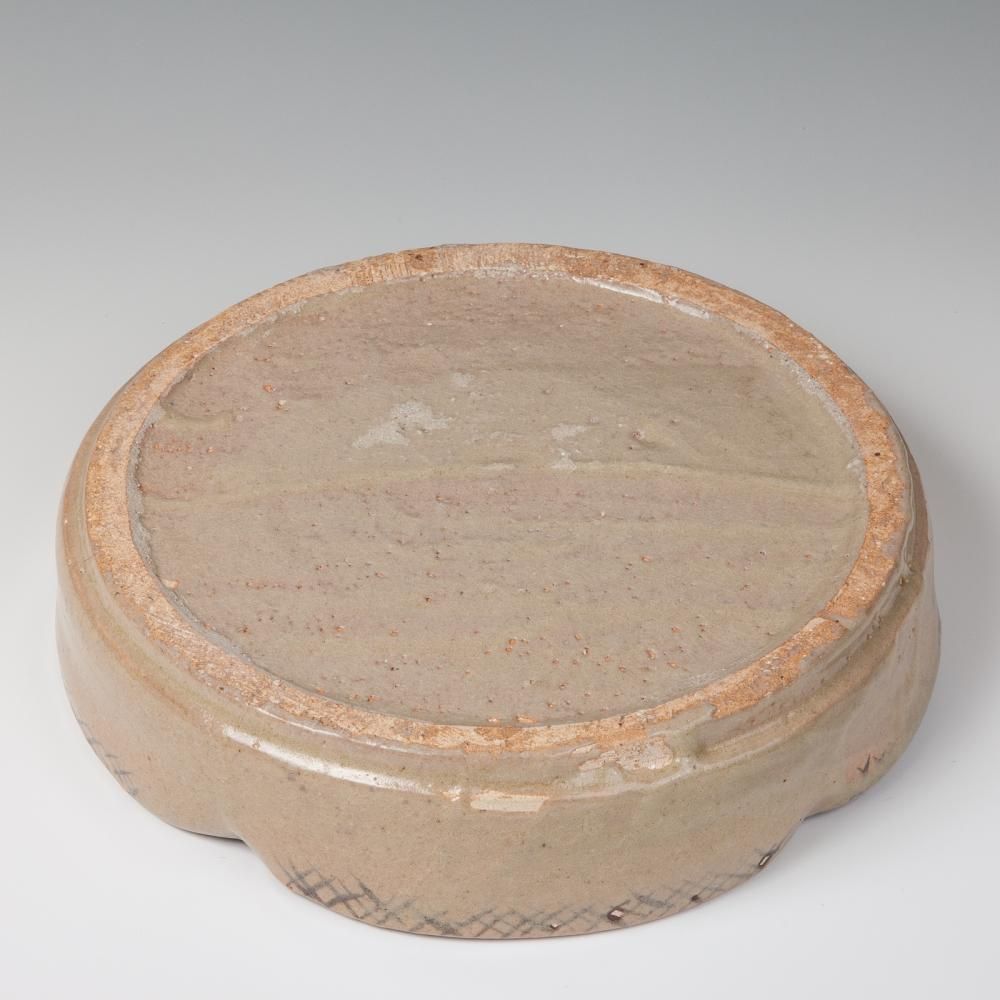 武末日臣先生の鉢 武末日臣先生の鉢