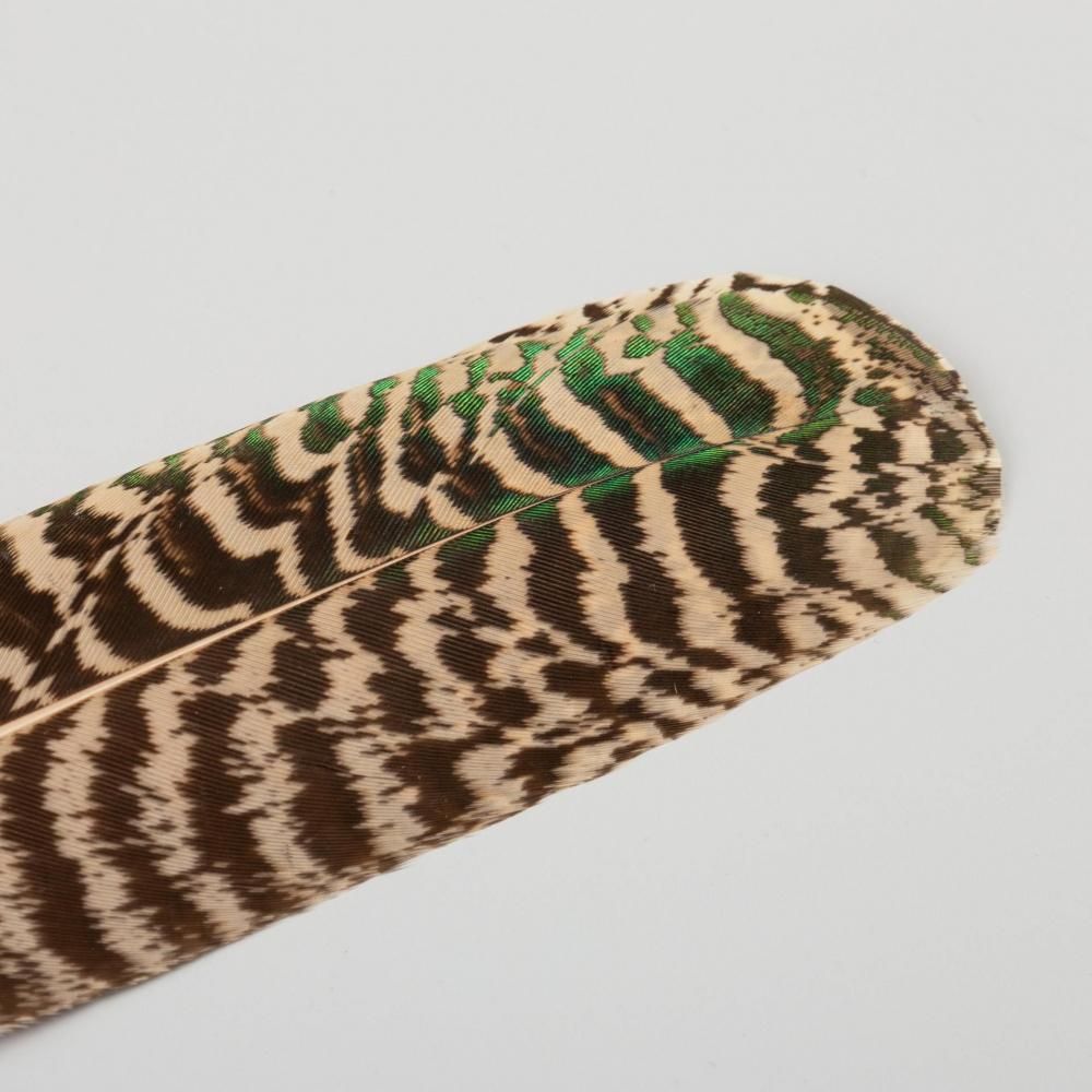 羽箒 孔雀 - 茶道具・抹茶通販 | ギャラリーきほうオンライン