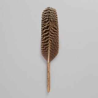 茶道具　茶道　羽箒　一双　孔雀　鳳華 羽箒 孔雀 - 茶道具・抹茶通販 | ギャラリーきほうオンライン