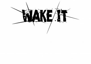 No.697 Wake it Ⱦµ/Ĺµ ߸ˤ(T/åȥ/Ѹ/ѻ/֥å//ץ)