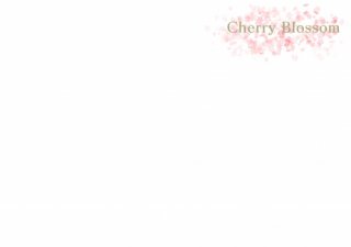 No.732 cherry blossom Ⱦµ/Ĺµ ߸ˤ(T/åȥ/Ѹ/ѻ////ݥ)