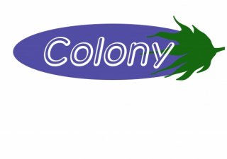 No.792 Colony Ⱦµ/Ĺµ ߸ˤ(T/åȥ/Ѹ/ѻ/ѡץ//ػ/İ)